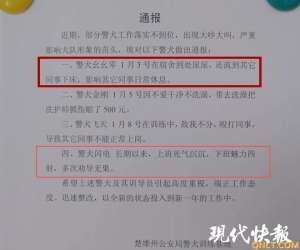 警犬闪电长期以来，上班死气沉沉，下班魅力四射，多次劝导无果